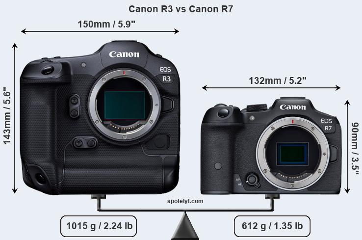 Size Canon R3 vs Canon R7