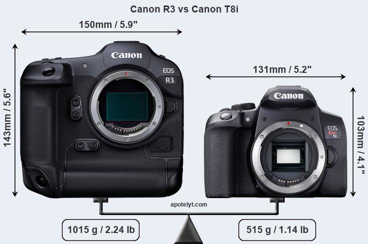 Size Canon R3 vs Canon T8i