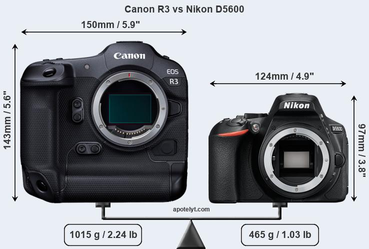Size Canon R3 vs Nikon D5600
