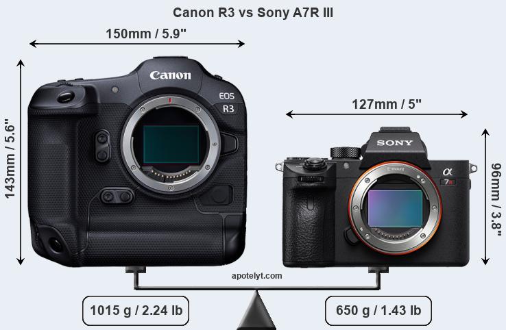 Size Canon R3 vs Sony A7R III