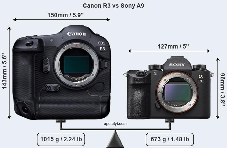 Size Canon R3 vs Sony A9