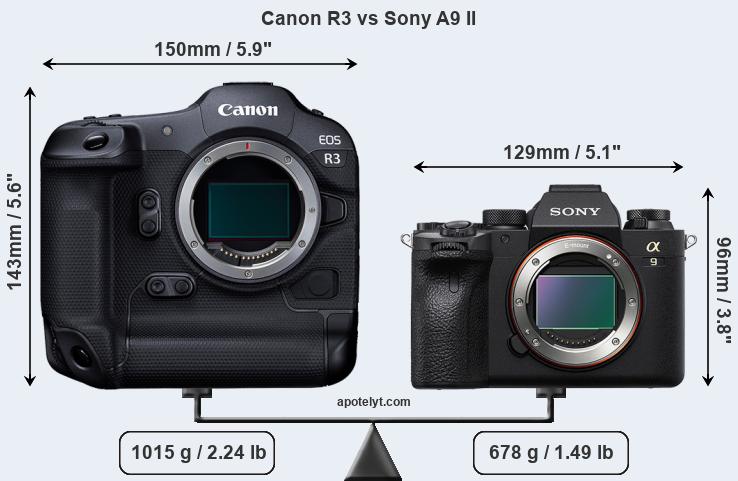 Size Canon R3 vs Sony A9 II