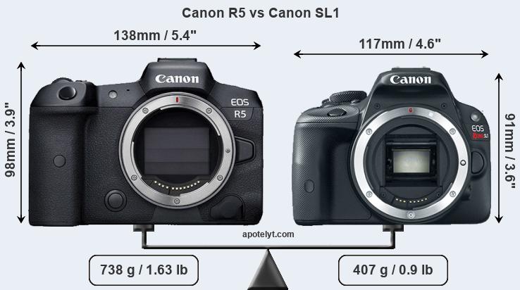 Size Canon R5 vs Canon SL1