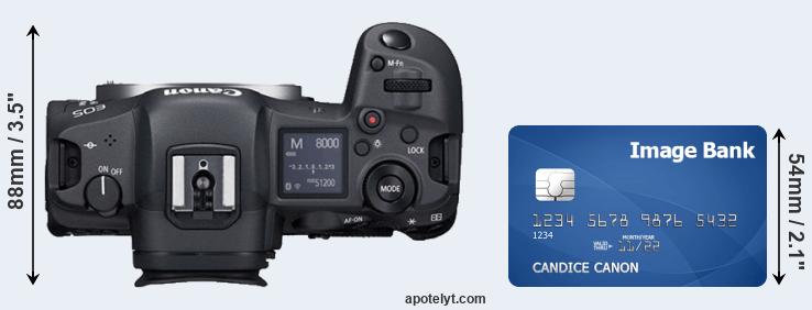 how to find serial number on canon camera t3i