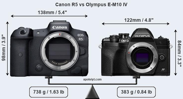 Size Canon R5 vs Olympus E-M10 IV