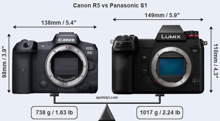 Size Canon R5 vs Panasonic S1