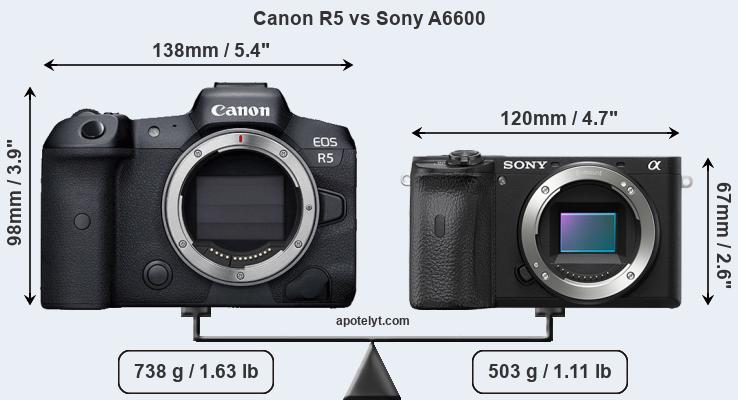 Size Canon R5 vs Sony A6600
