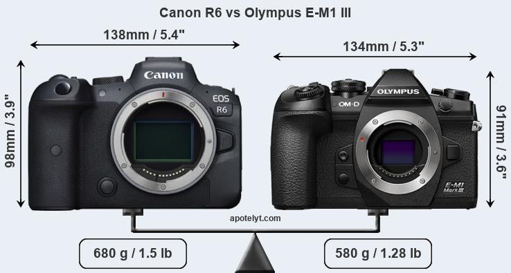 Size Canon R6 vs Olympus E-M1 III