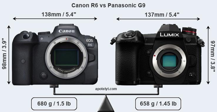 Size Canon R6 vs Panasonic G9