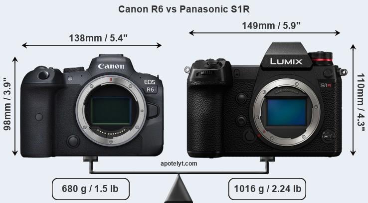 Size Canon R6 vs Panasonic S1R