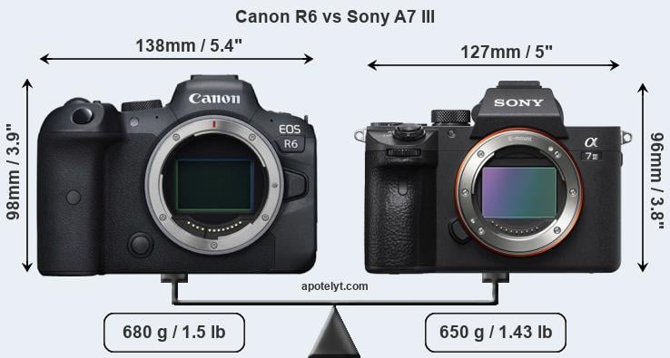 Canon EOS R6 vs Sony Alpha A9