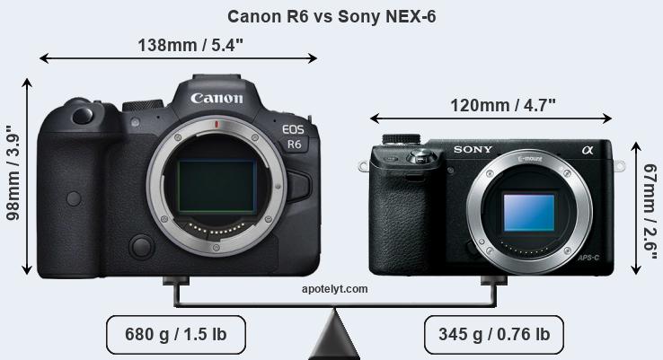 Size Canon R6 vs Sony NEX-6