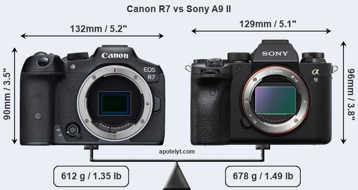 Size Canon R7 vs Sony A9 II
