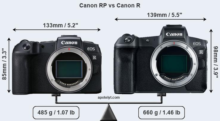 Size Canon RP vs Canon R