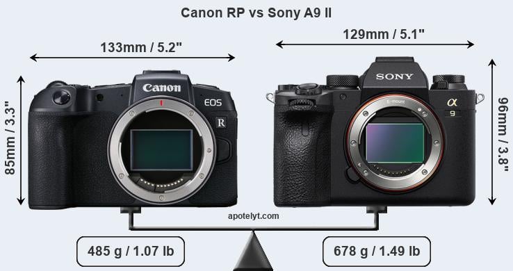 Size Canon RP vs Sony A9 II