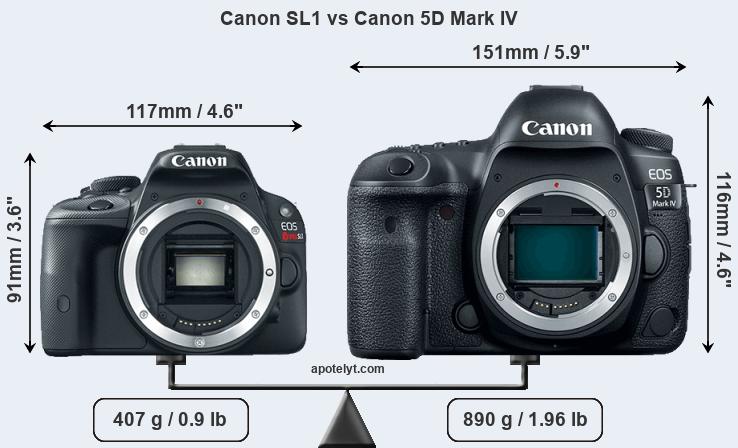 5d vs mark. Canon EOS 200d Mark II. Canon EOS m50 Mark II габариты. Кэнон 450д. Canon EOS 5d Mark IV разъемы.