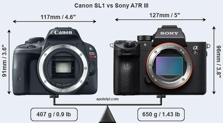 Size Canon SL1 vs Sony A7R III