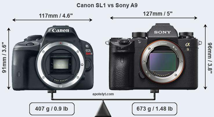 Size Canon SL1 vs Sony A9