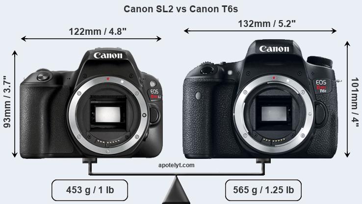 Size Canon SL2 vs Canon T6s
