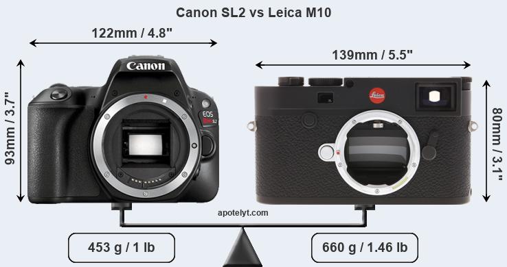 Size Canon SL2 vs Leica M10