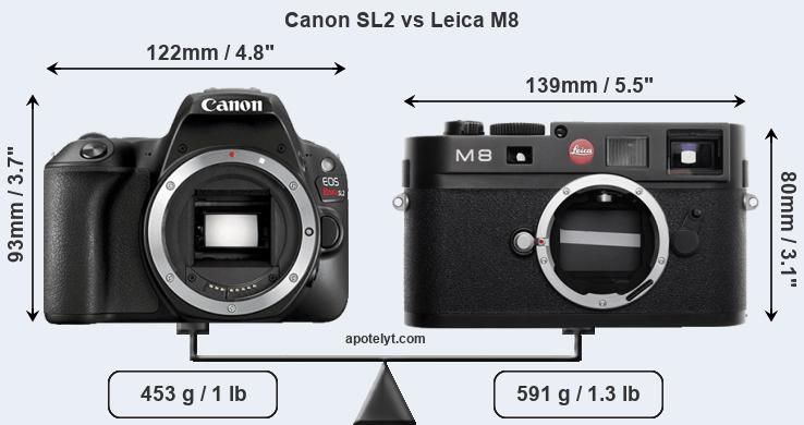 Size Canon SL2 vs Leica M8
