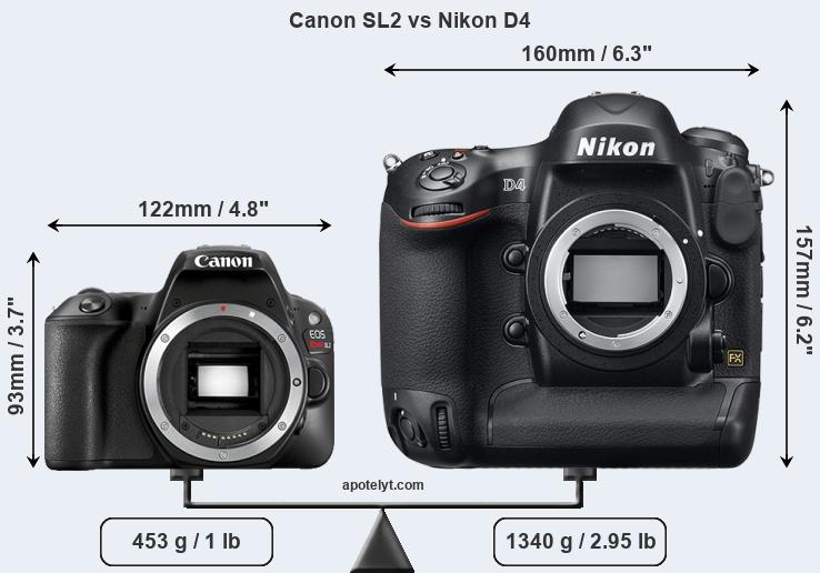 Size Canon SL2 vs Nikon D4
