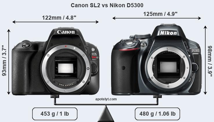 Size Canon SL2 vs Nikon D5300