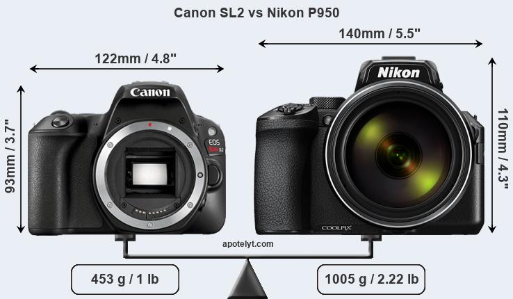 Size Canon SL2 vs Nikon P950
