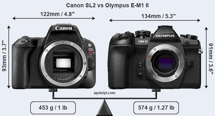 Size Canon SL2 vs Olympus E-M1 II