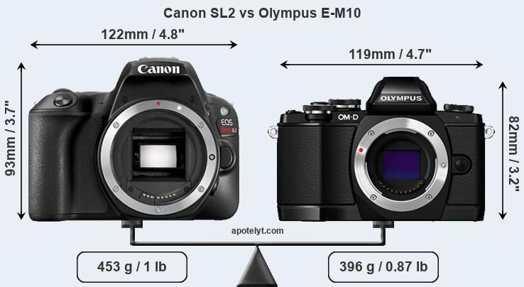 Size Canon SL2 vs Olympus E-M10