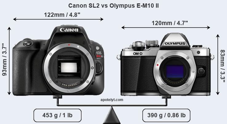 Size Canon SL2 vs Olympus E-M10 II