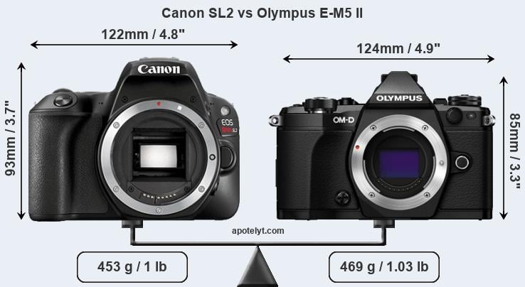 Size Canon SL2 vs Olympus E-M5 II