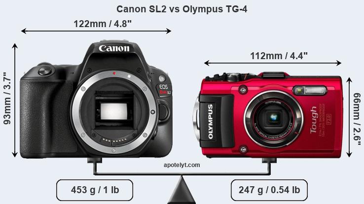 Size Canon SL2 vs Olympus TG-4
