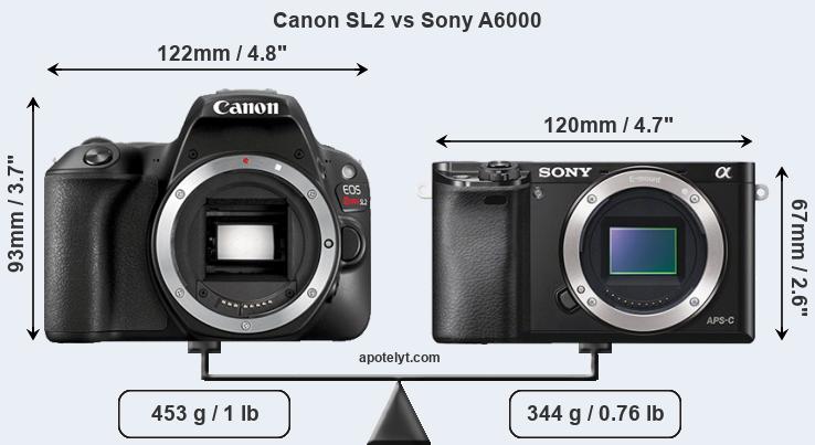 Size Canon SL2 vs Sony A6000