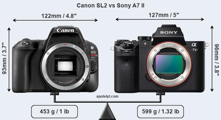 Size Canon SL2 vs Sony A7 II