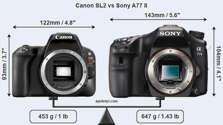 Size Canon SL2 vs Sony A77 II