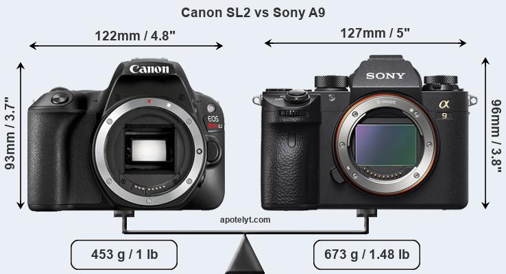 Size Canon SL2 vs Sony A9