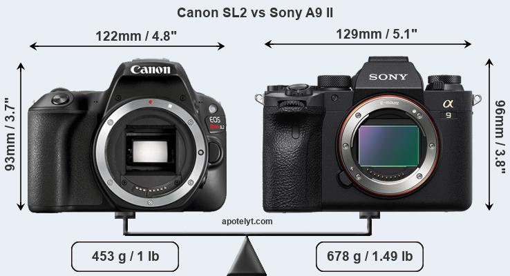 Size Canon SL2 vs Sony A9 II