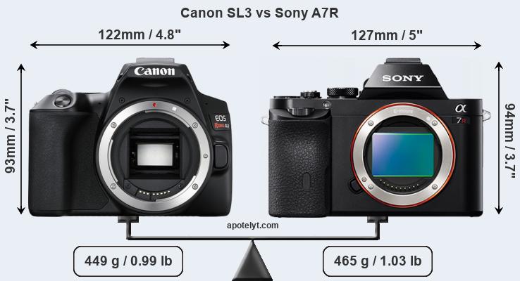 Size Canon SL3 vs Sony A7R