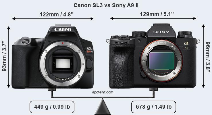 Size Canon SL3 vs Sony A9 II
