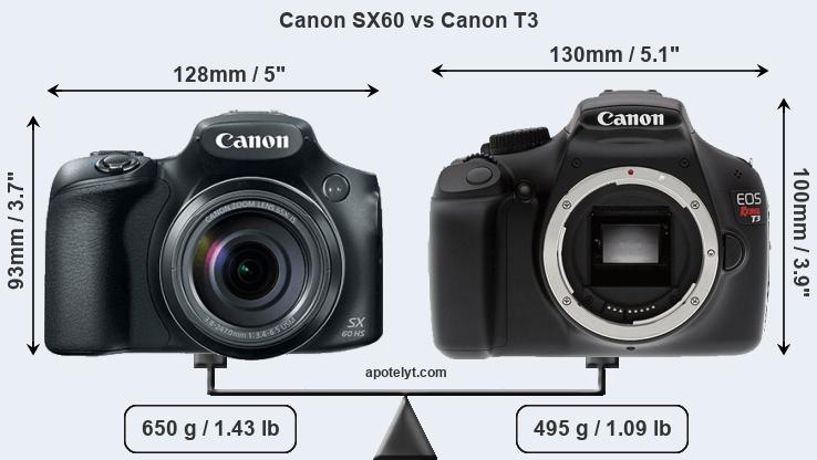 Size Canon SX60 vs Canon T3
