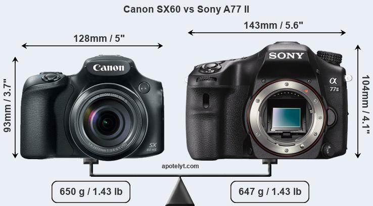 Size Canon SX60 vs Sony A77 II