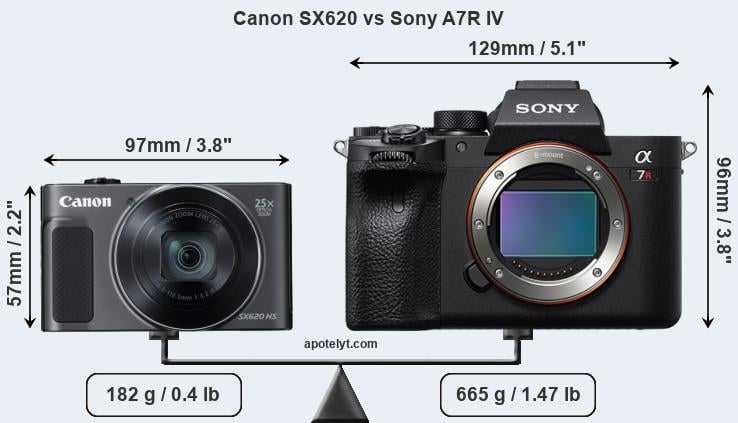 Size Canon SX620 vs Sony A7R IV