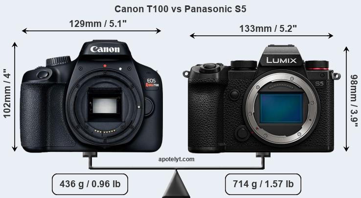 Size Canon T100 vs Panasonic S5