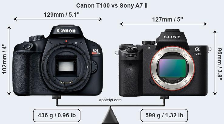Size Canon T100 vs Sony A7 II