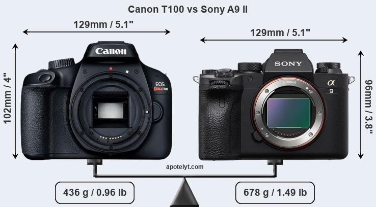 Size Canon T100 vs Sony A9 II