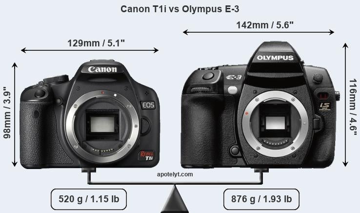 Size Canon T1i vs Olympus E-3