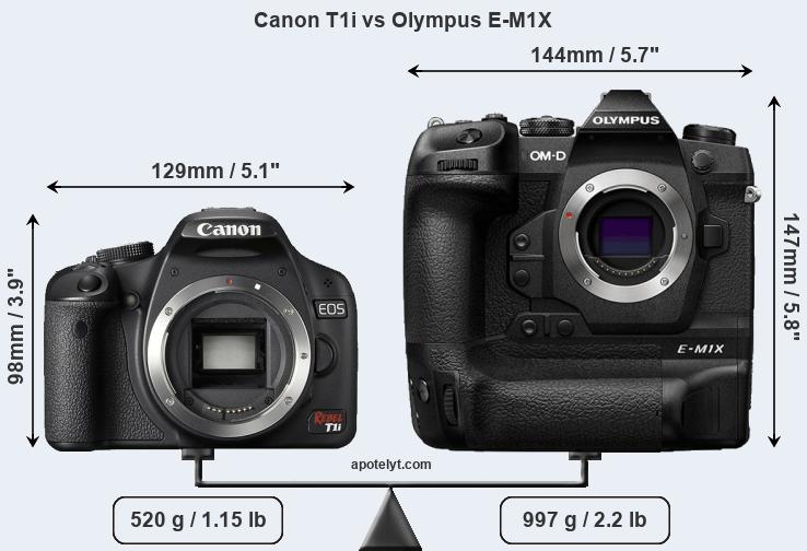 Size Canon T1i vs Olympus E-M1X
