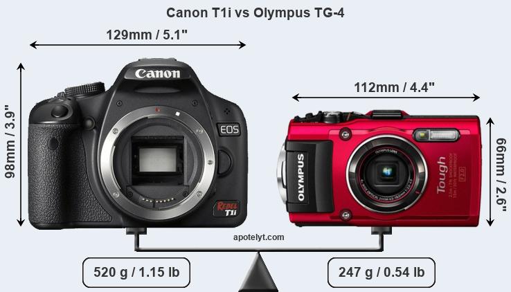 Size Canon T1i vs Olympus TG-4