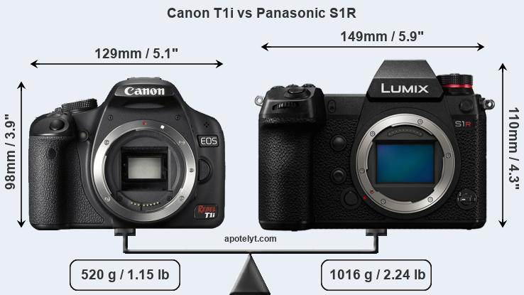 Size Canon T1i vs Panasonic S1R